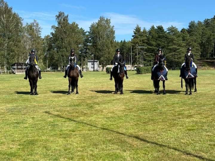Möte om träning/tävling med frieser