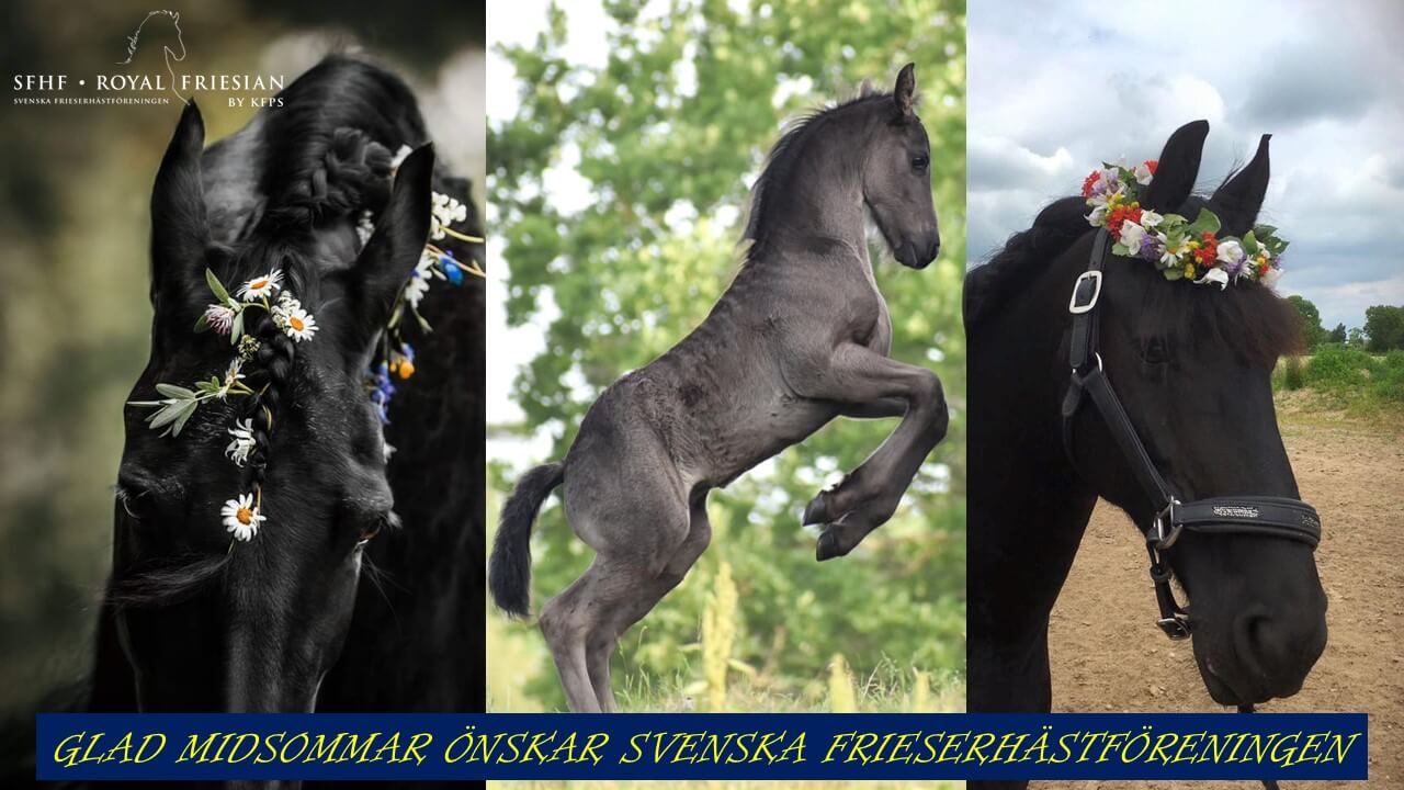 SFHF- Midsommarbild 2025