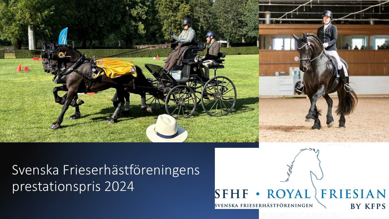 Svenska Frieserhästföreningens prestationspris 2024