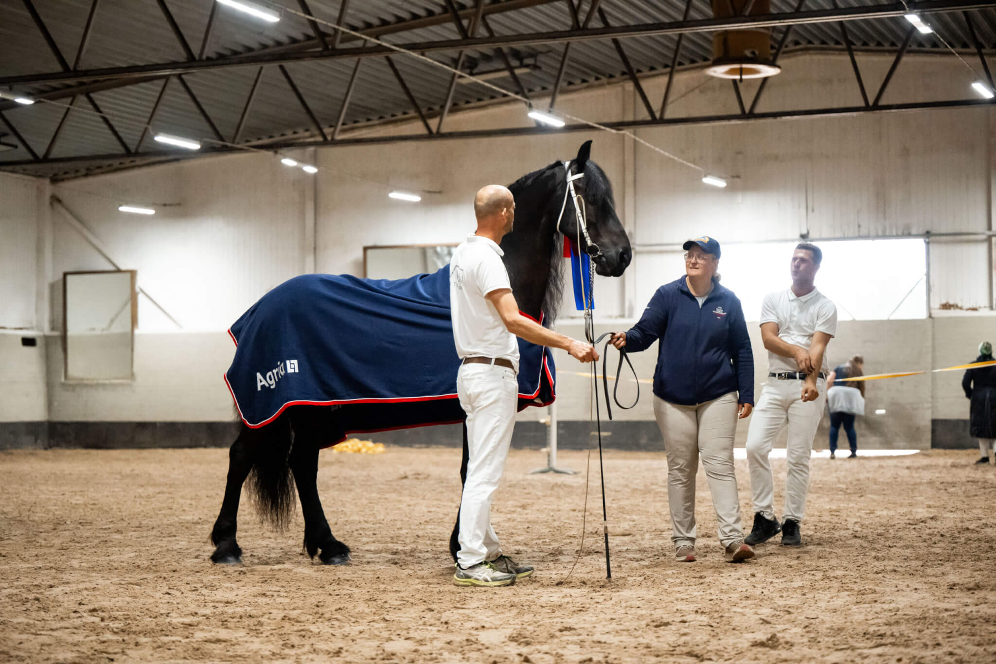 Sfhf Hallsta Bästa Valack 2025 (2)