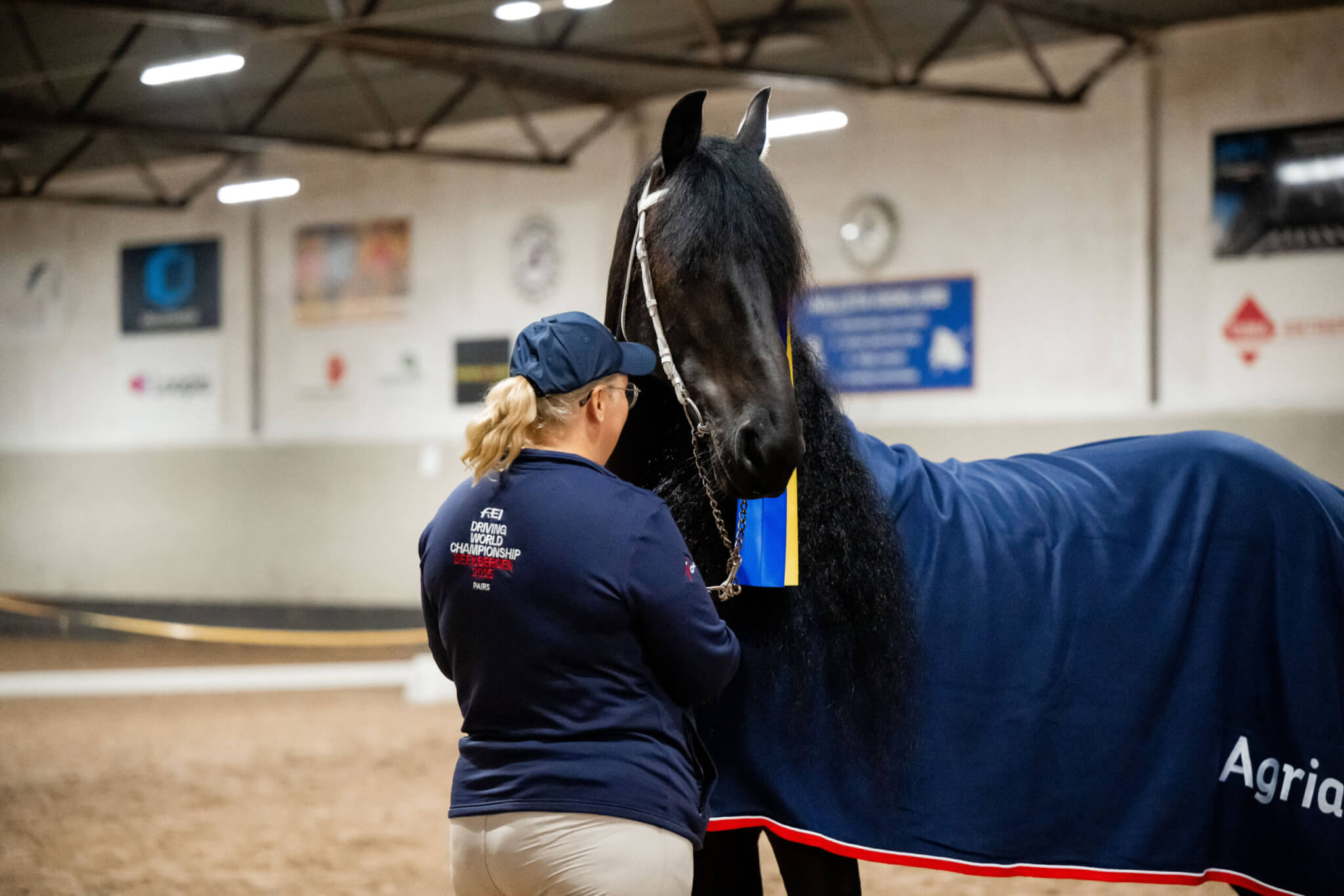 Sfhf Hallsta Bästa Valack 2025