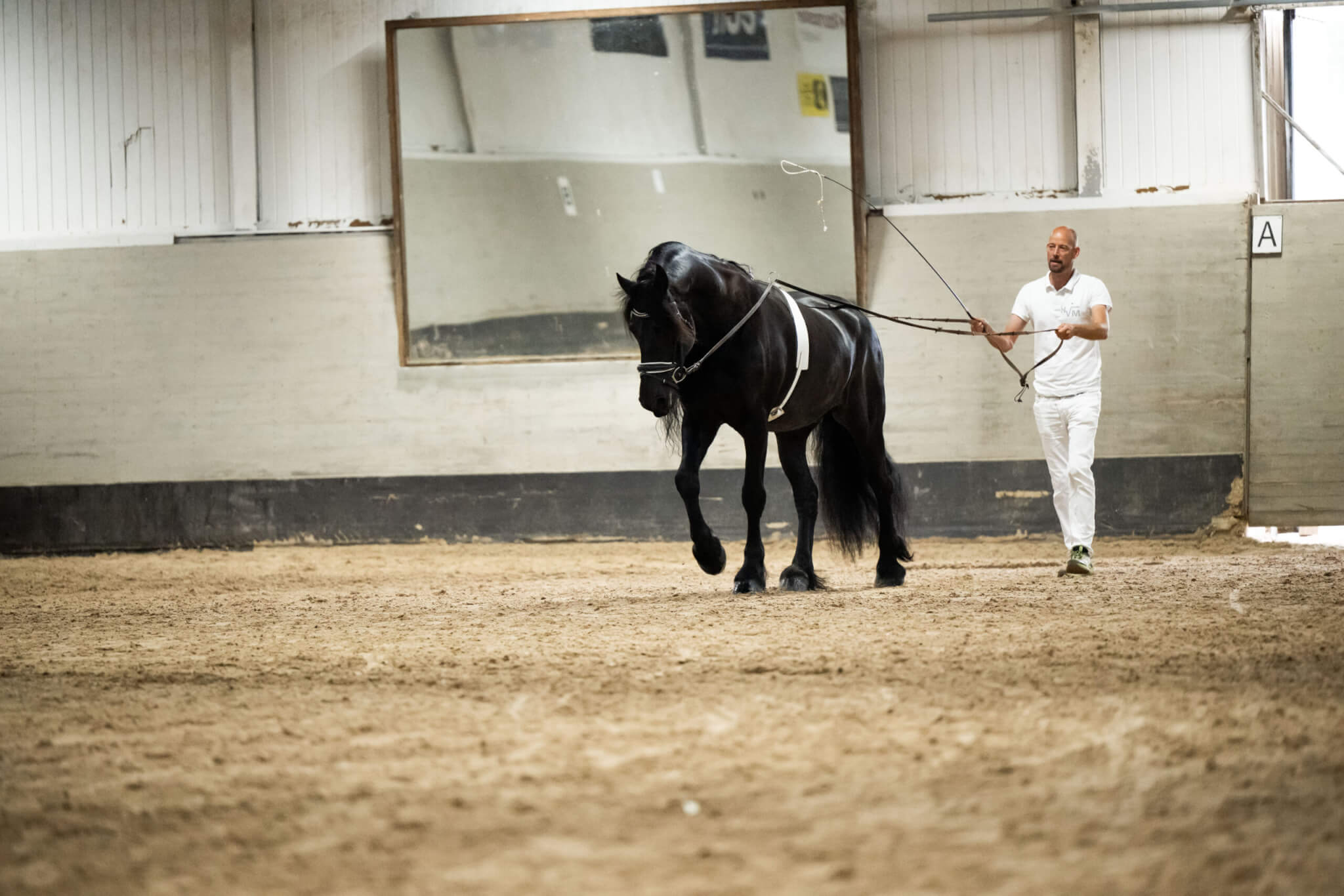 Sfhf Hallsta Jerry Och Zwen Af Vibbleboda 2025