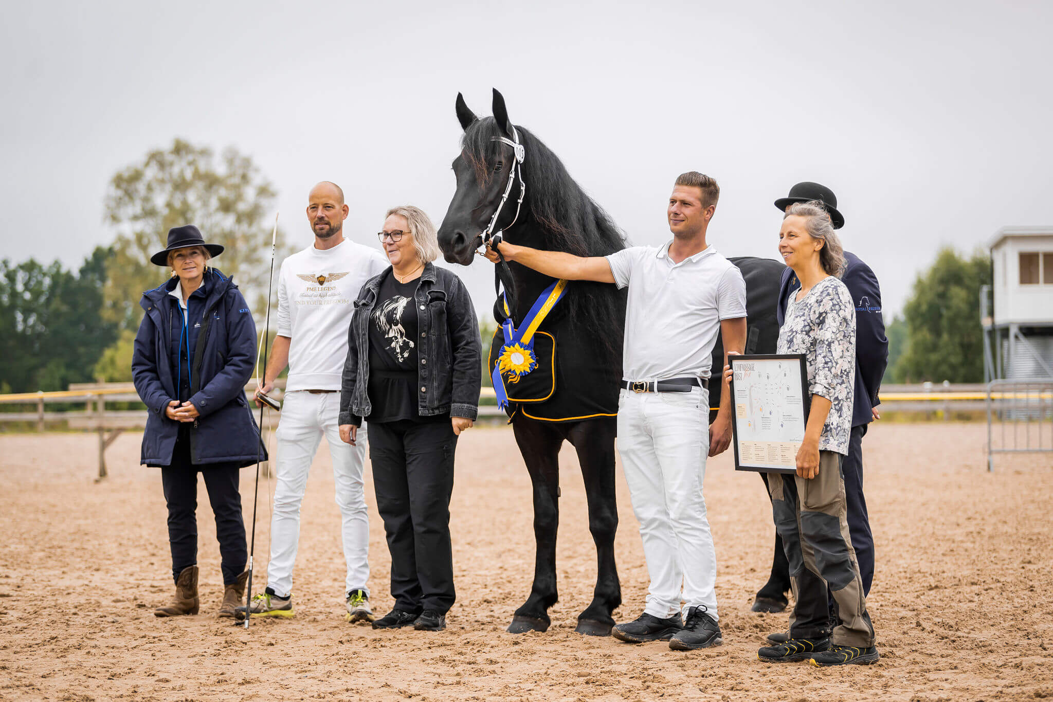 SFHF- Champion 2025 Ljungby 2025