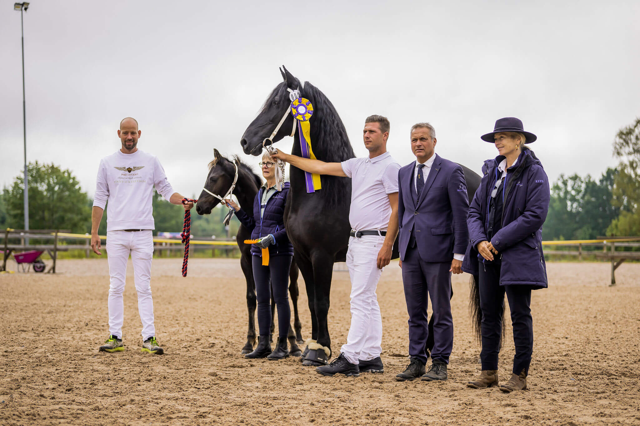 SFHF- Bästa föl Ljungby 2025