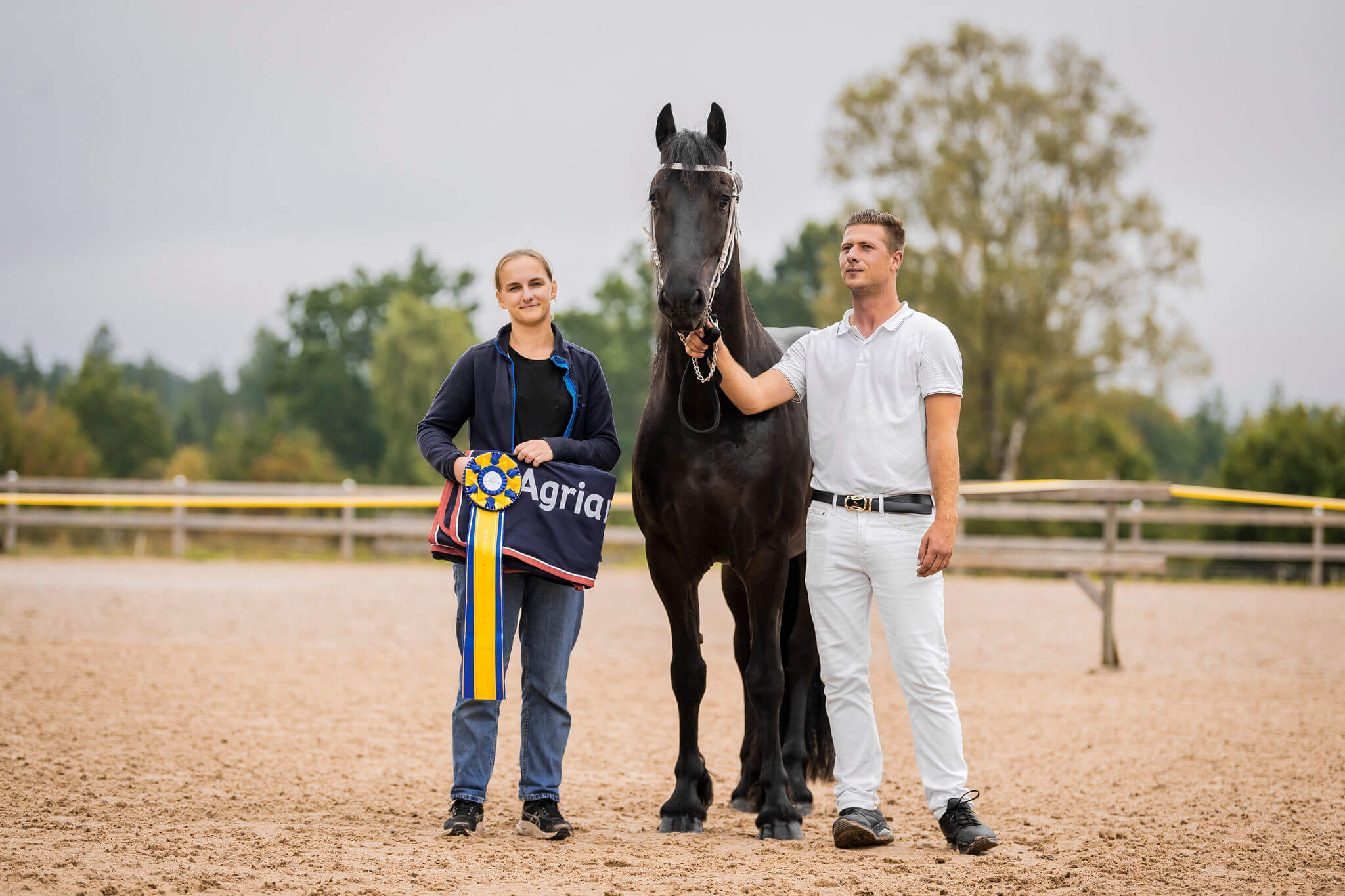 SFHF- Bästa valack Ljungby 2025